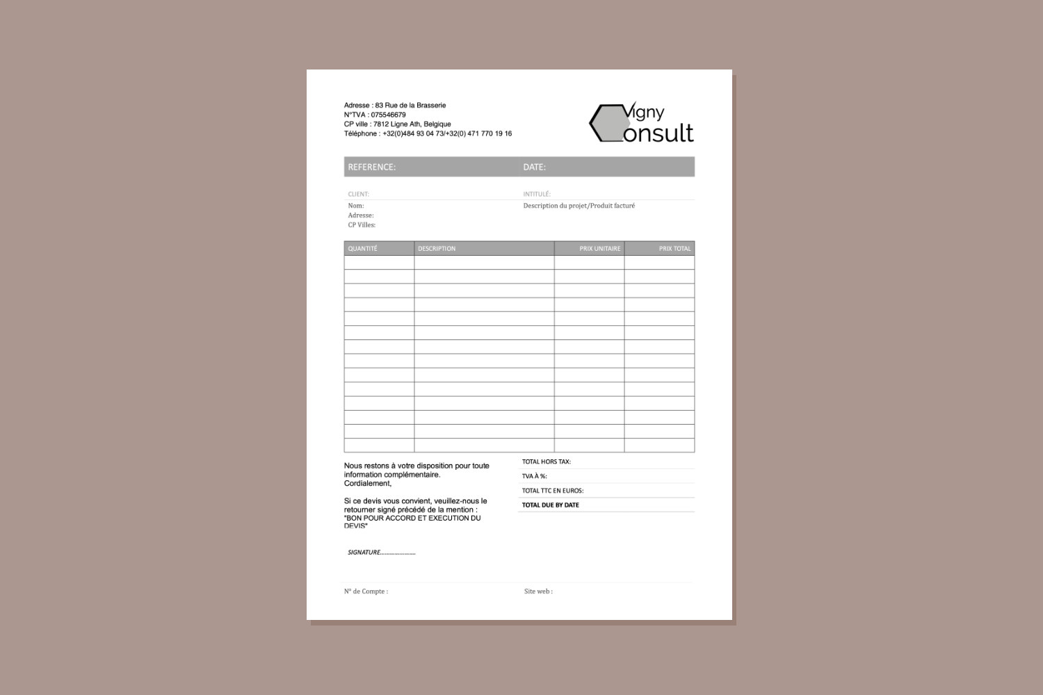 Vigny Consult Invoice